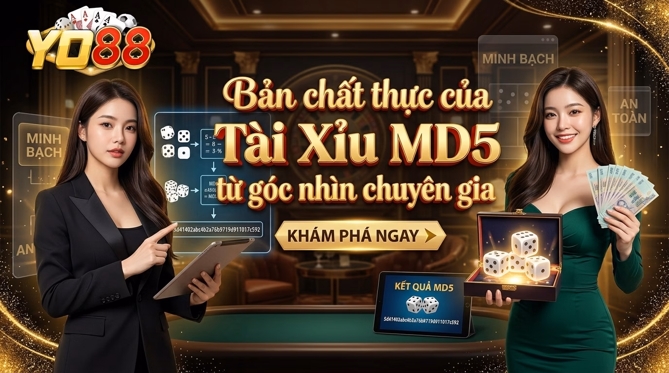 Bản chất thực sự của tài xỉu md5 dưới lăng kính dân chuyên Bản chất thực sự của tài xỉu md5 dưới lăng kính dân chuyên
